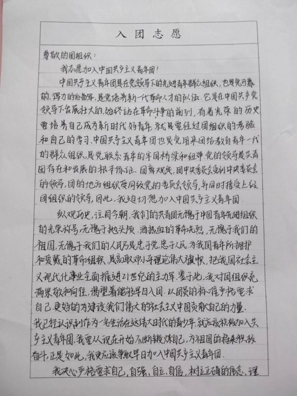 入团志愿书 800字以上的