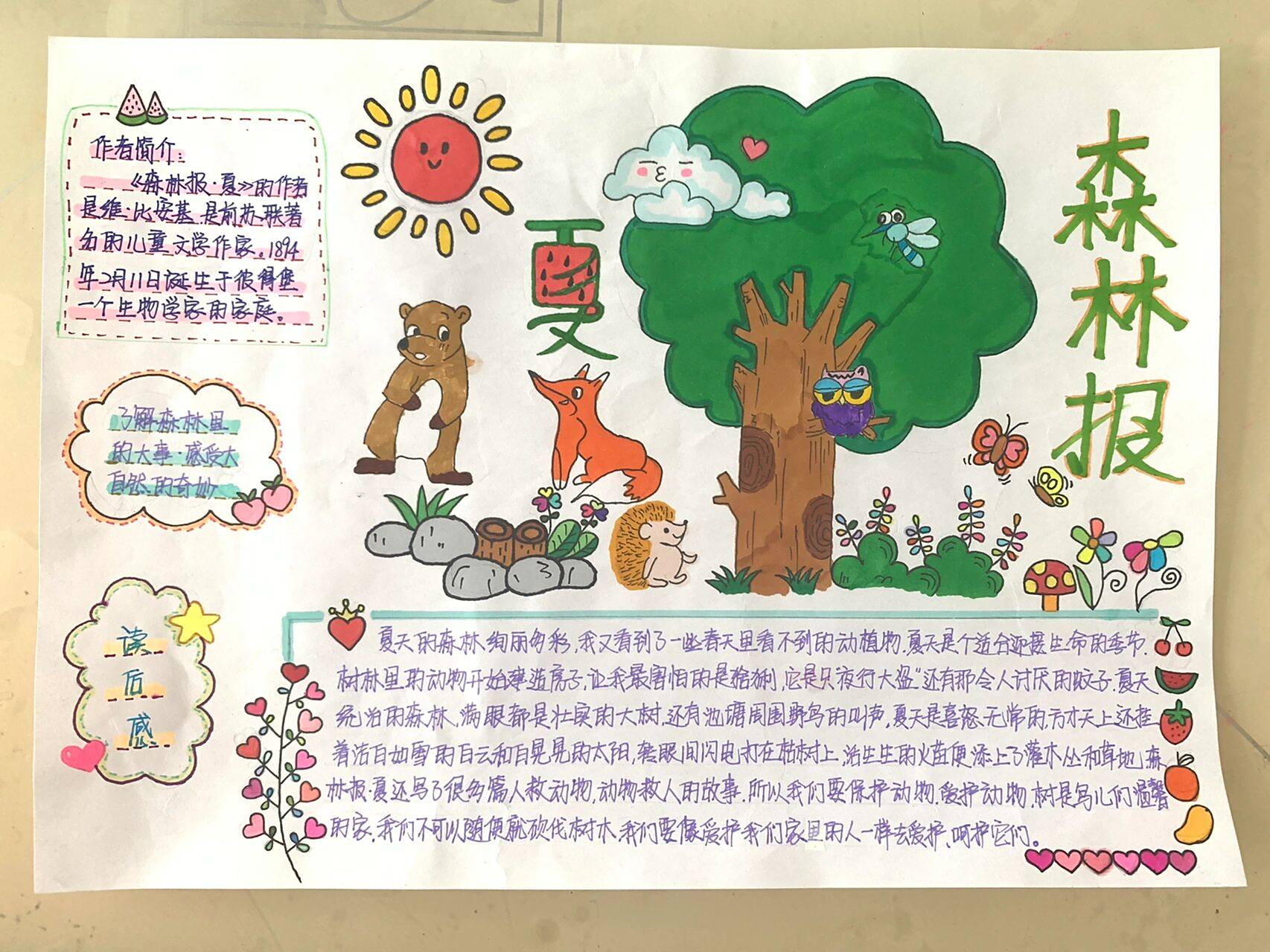 森林报·夏 森林报·夏思维导图手抄报详细版.