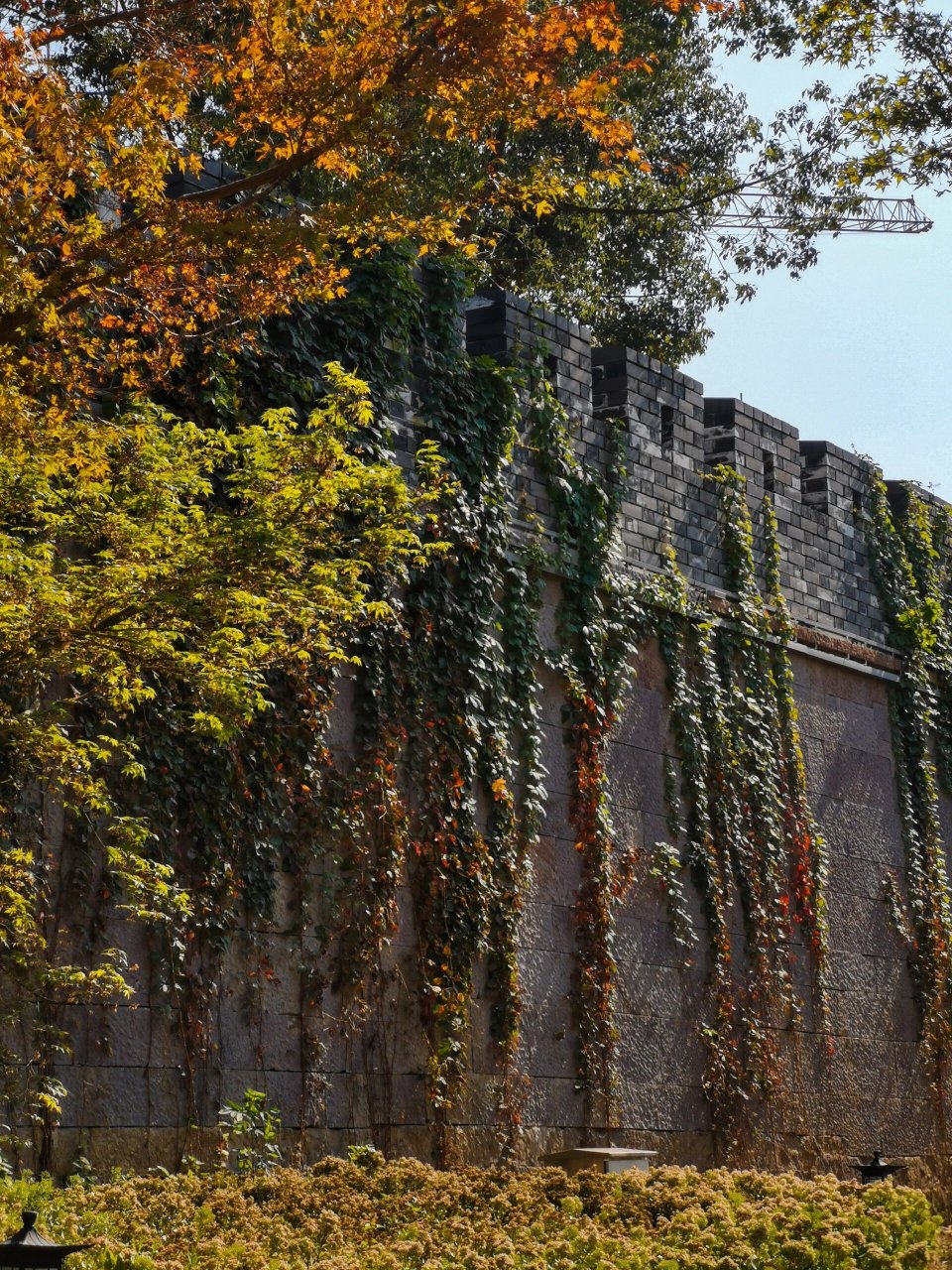 废城探索|杭州新登 杭州市富阳区新登镇,本为杭州府新城县.