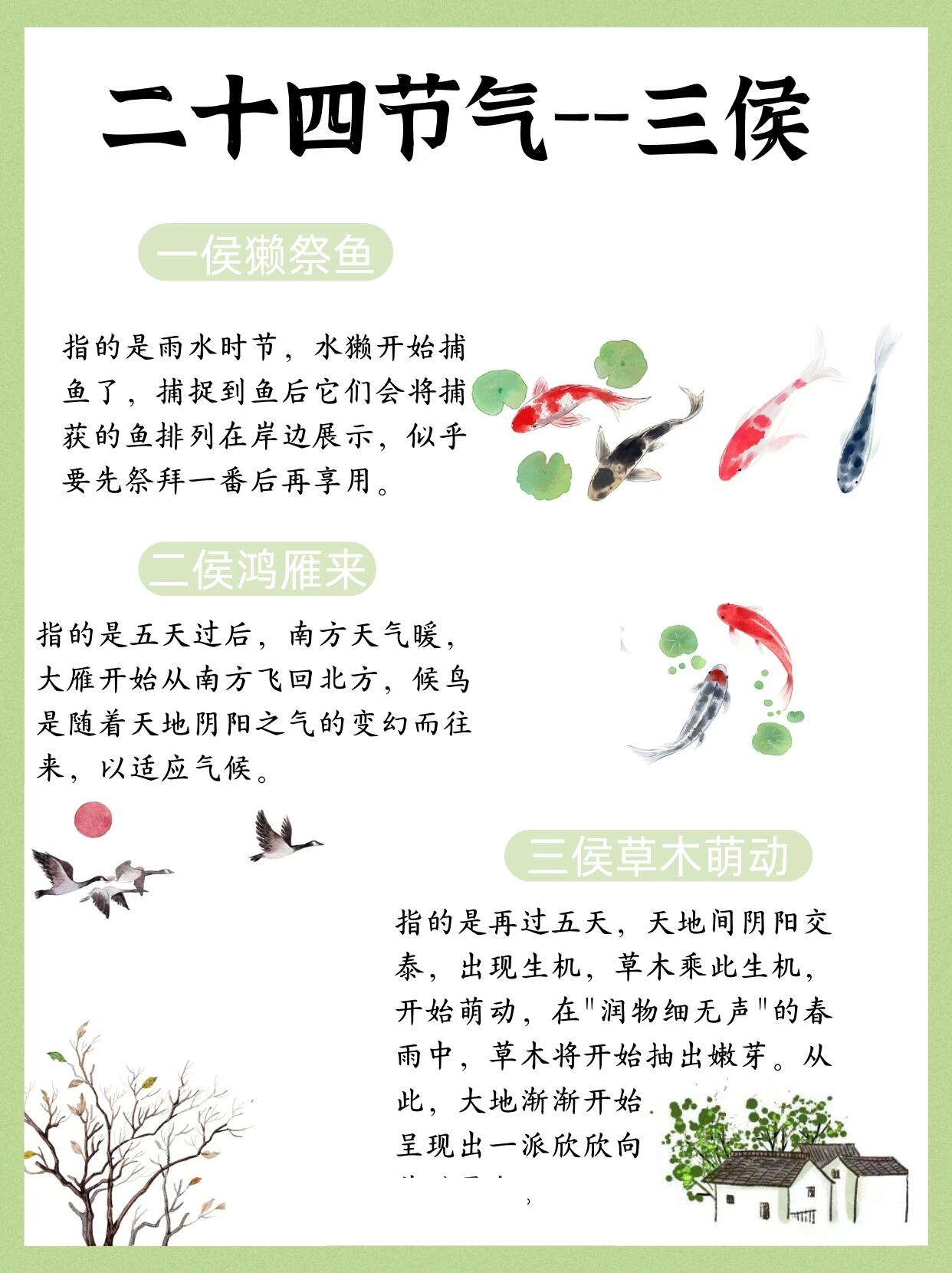 【24节气雨水科普】和孩子一起了解传统文化