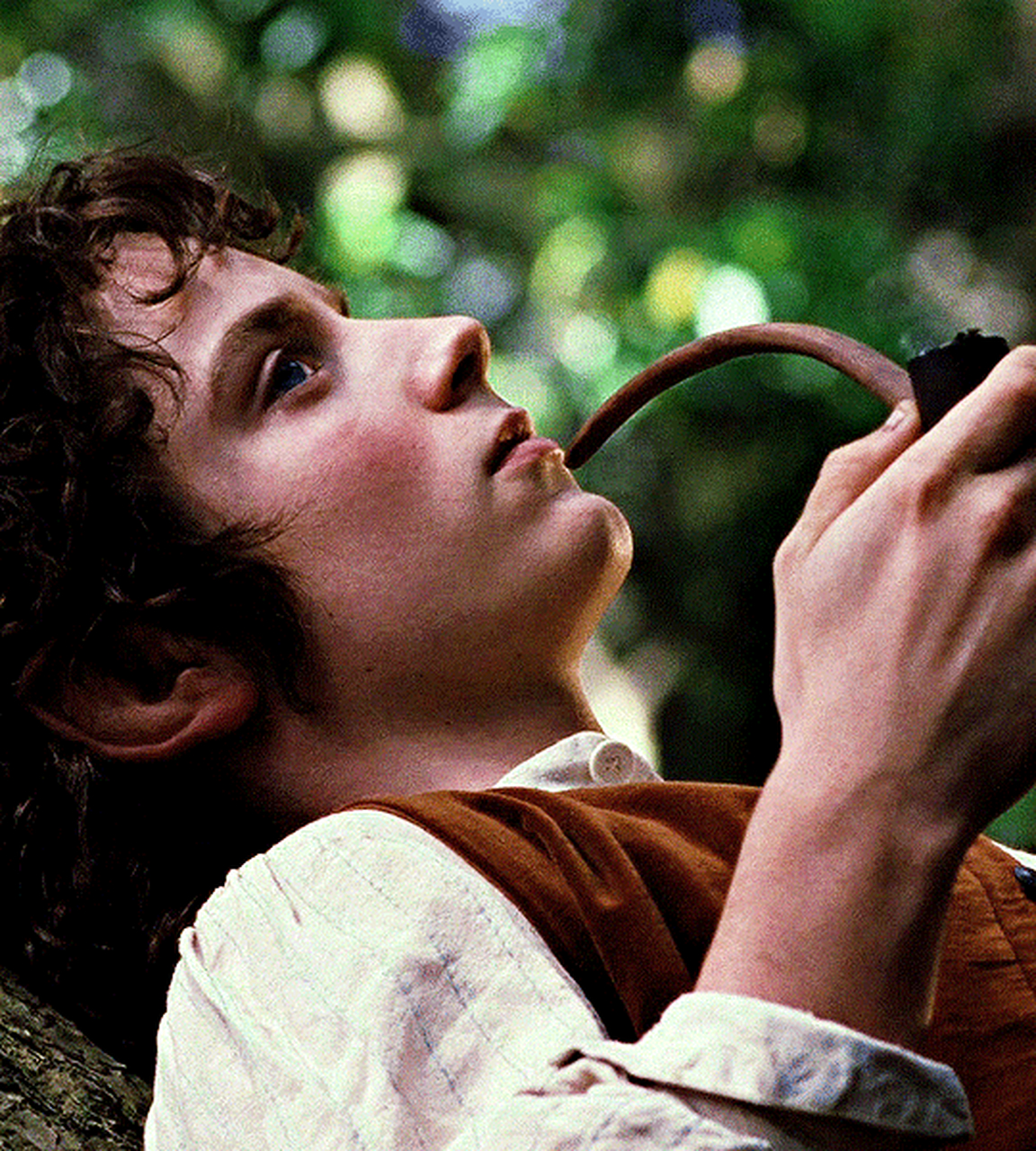 2001年电影《指环王1:护戒使者》里的伊利亚·伍德