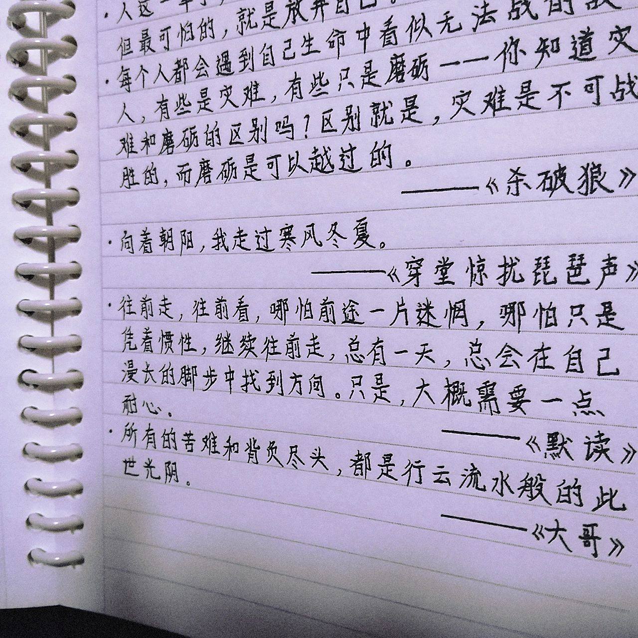 摘抄原耽句子(励志)   虽然是这样写,但我并不确定这是励志