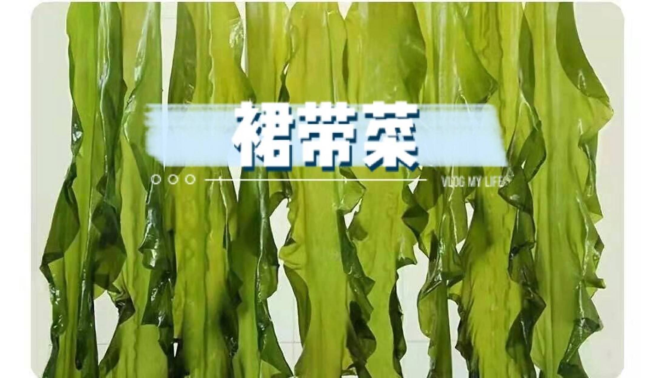 终于知道裙带菜和海带区别了!