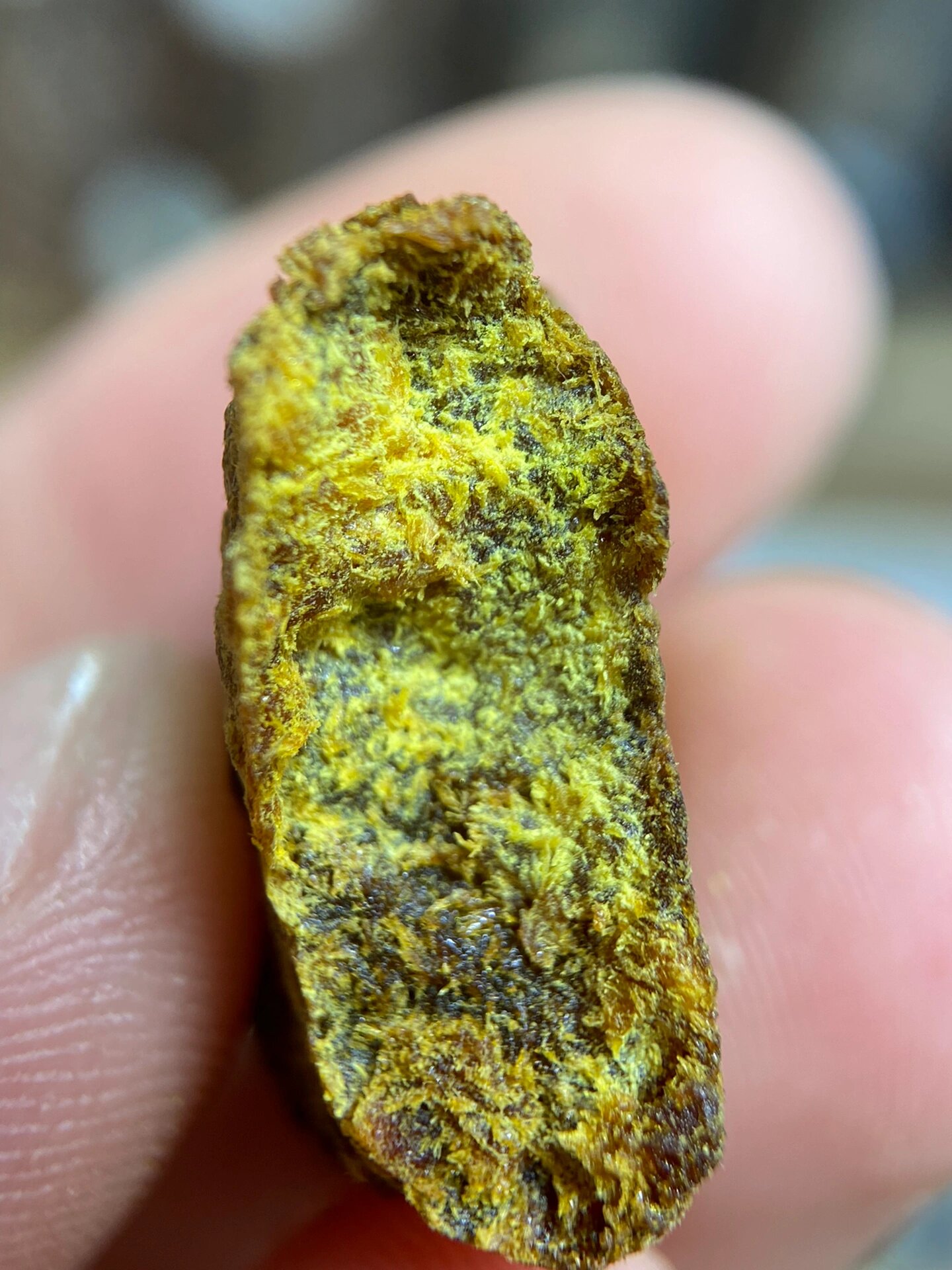 贡木沉香结晶体 高端货,机缘巧合之下寻得一根印贡沉香油脂结晶料