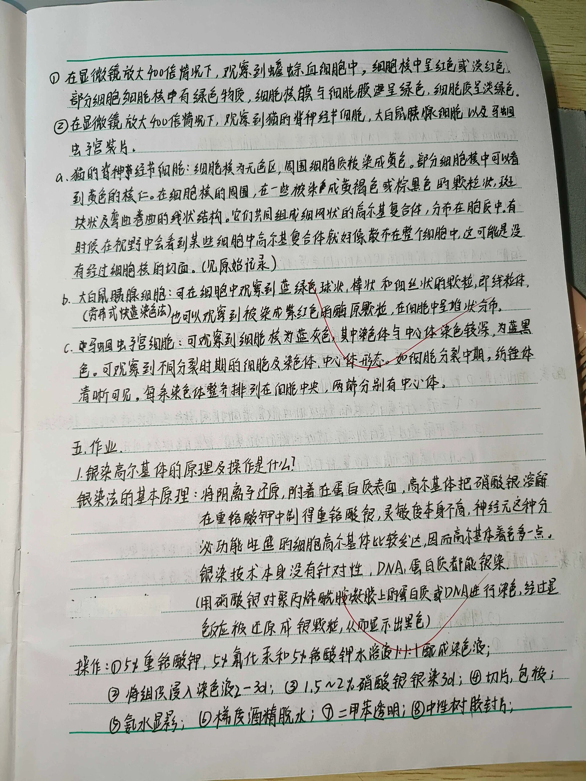 高一生物实验报告!基础实验,规范书写的简单介绍 高一生物实验报告!基础实验,规范书写的简单介绍