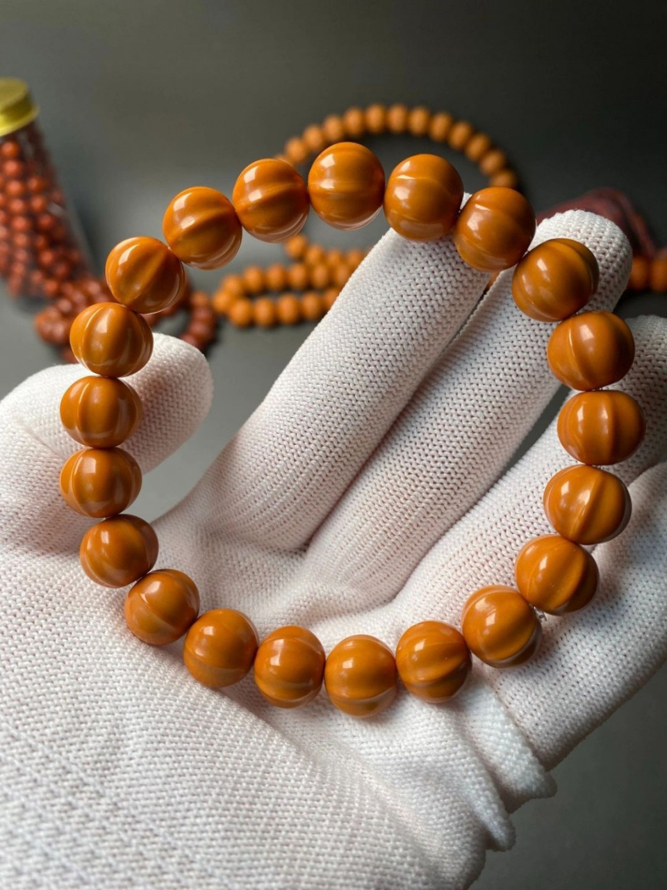 如果非要我推荐入手第一条猴头,那非鲨鱼背莫属.