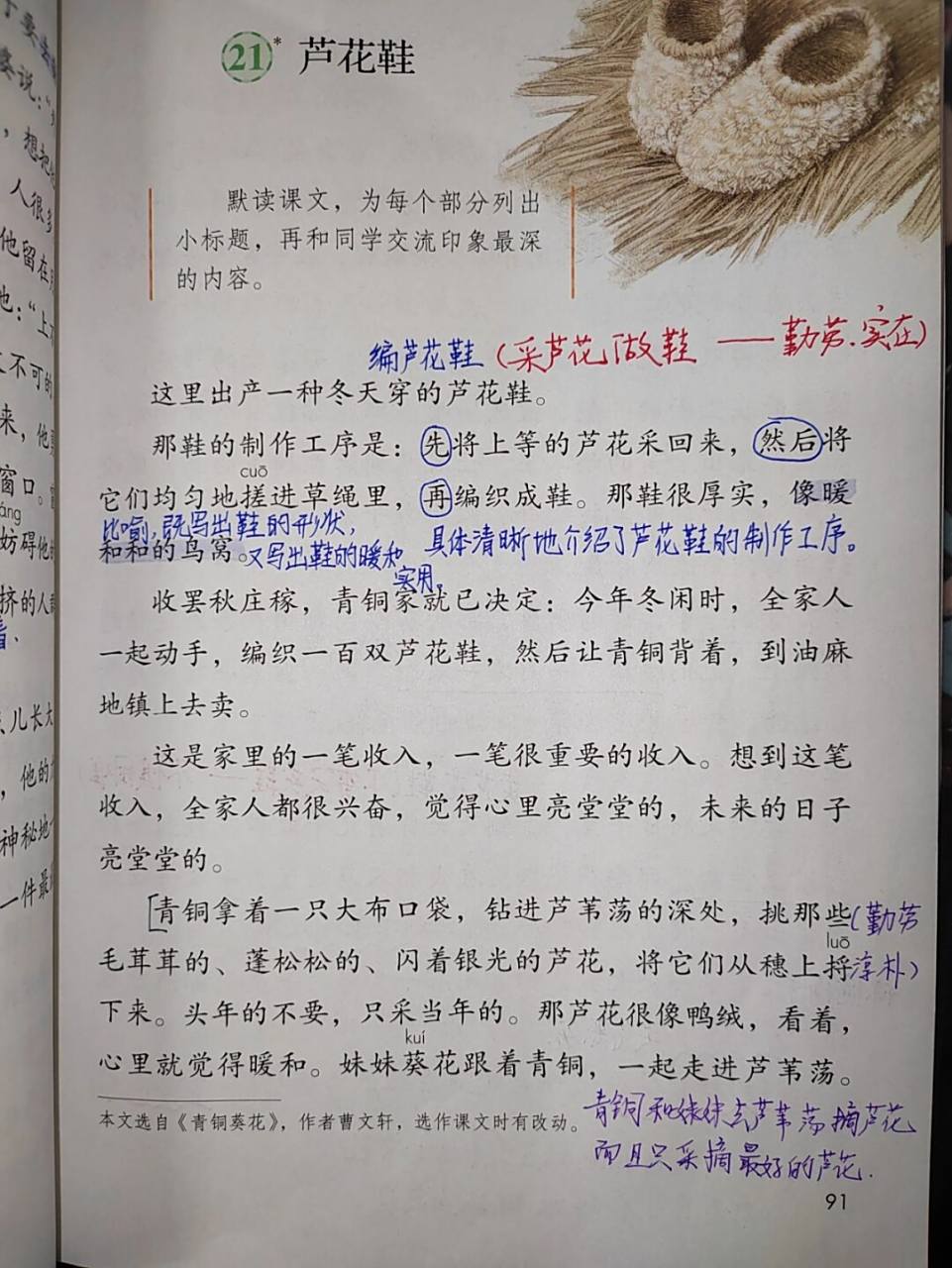 21《芦花鞋》课文笔记 #四年级下册语文# #教师备课# #语文预习