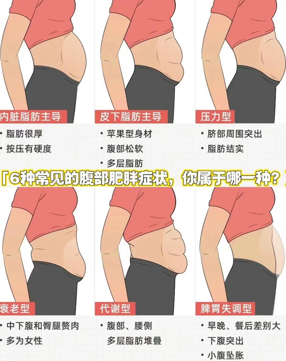 1,内脏脂肪多(脂肪很厚,手指按压较硬) 2,皮下脂肪多(腰腹无力,松散