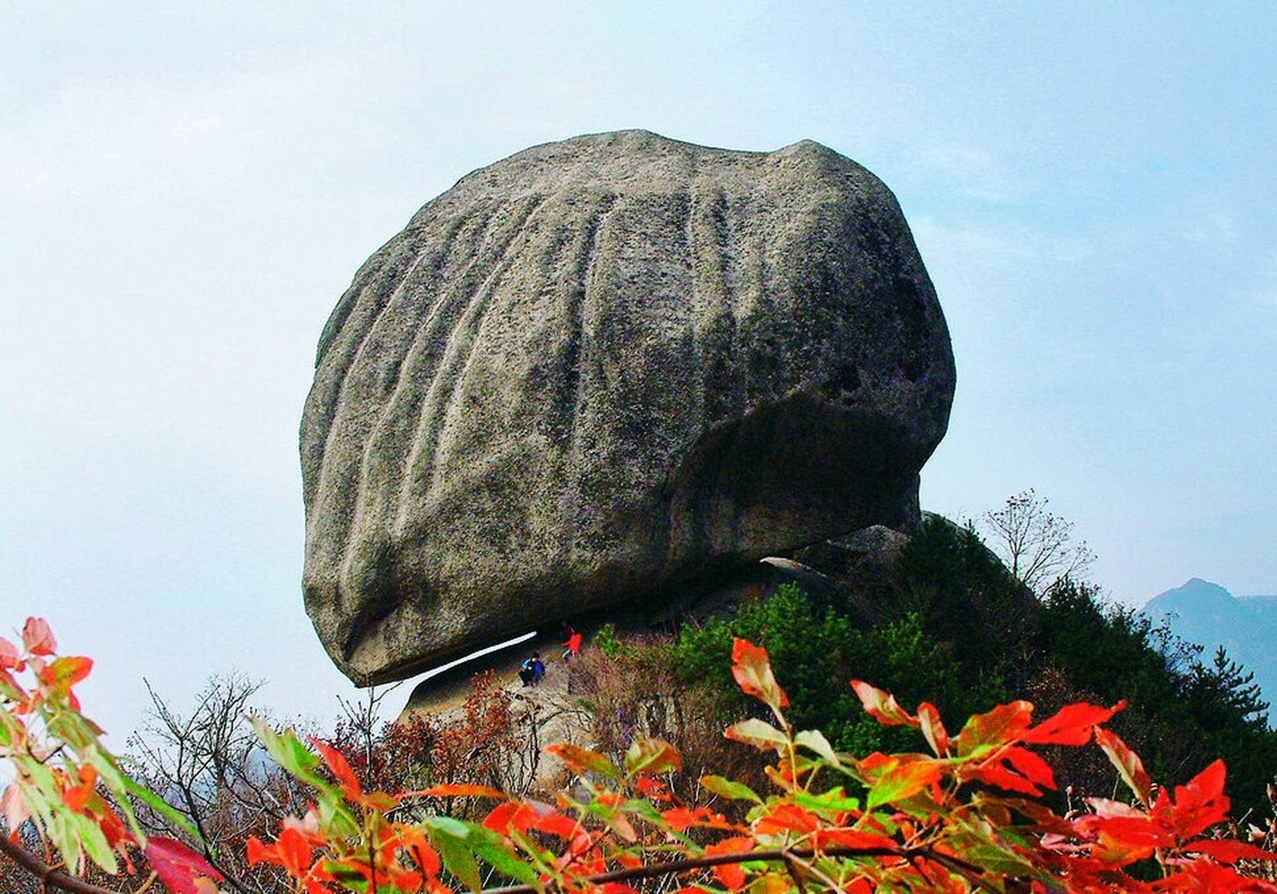 嵩县景点 中国1312个县景点——嵩县 白云山公园 天池山公园 木札岭