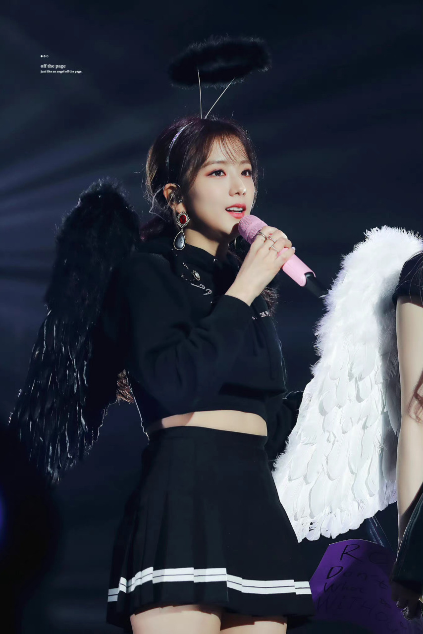 jisoo|190615 悉尼演唱会