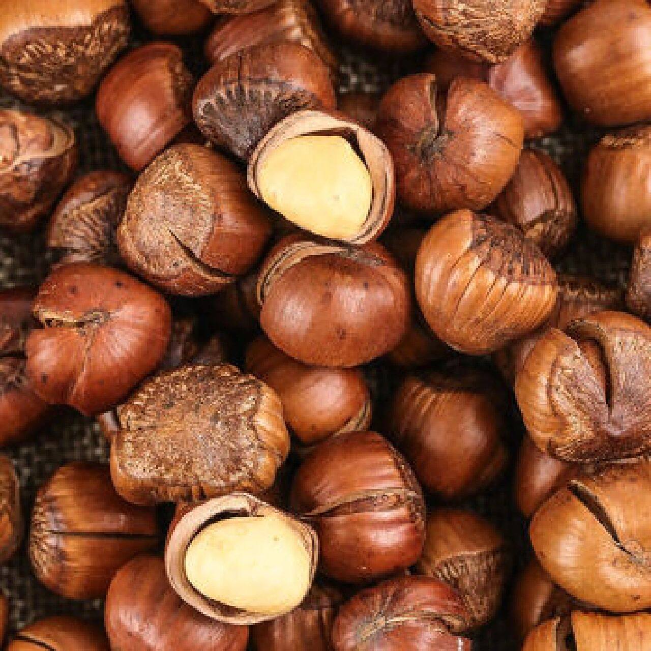 榛子和熟榛子哪个营养价值高吗 榛子属于坚果类食品,被称为"坚果之王"