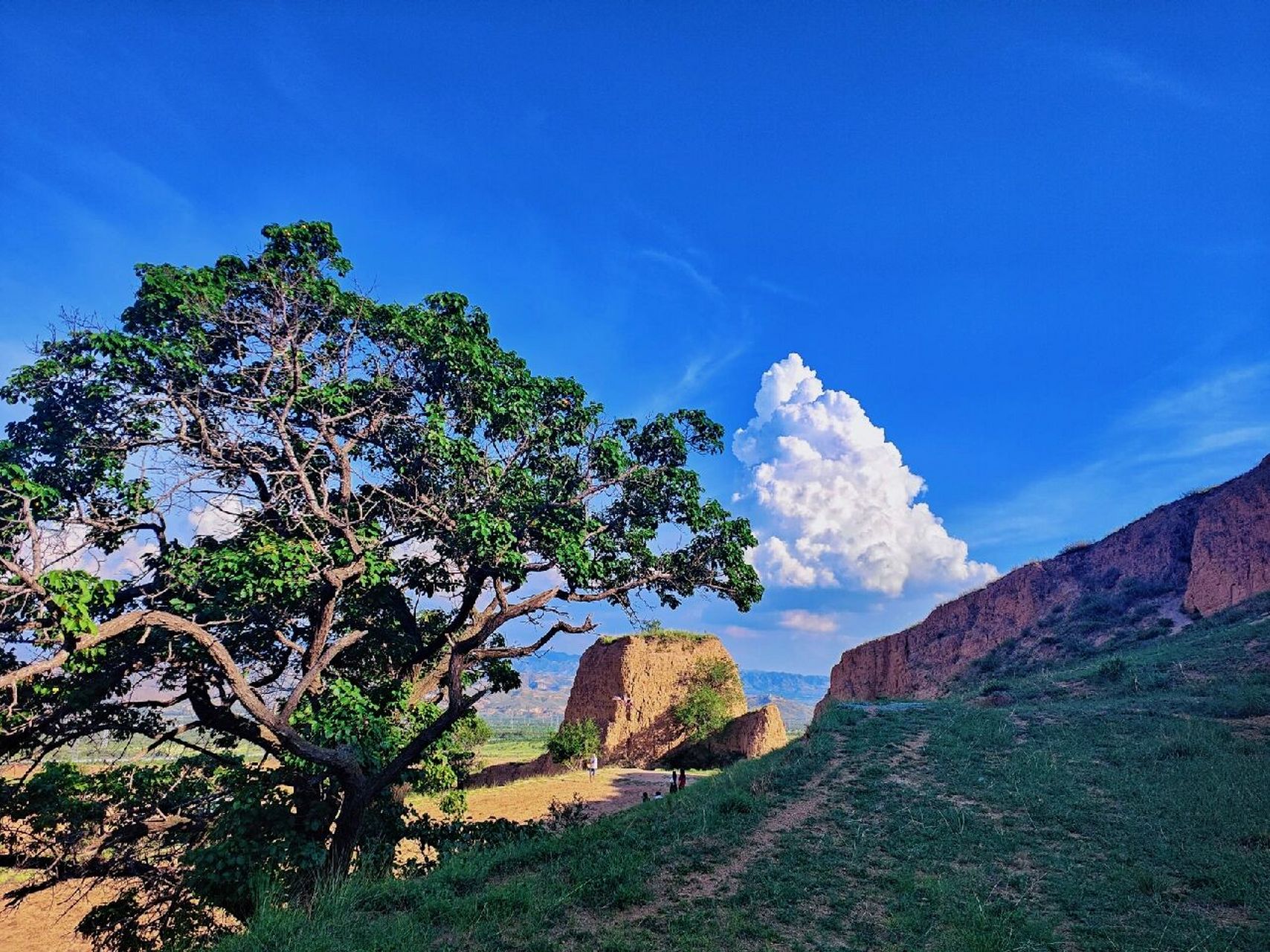 大同|长城1号旅游公路东线0315 0315名称:长城1号旅游公路