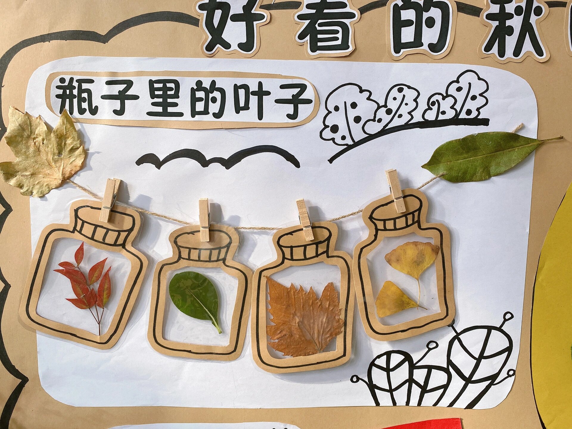 中班主题墙 好看的秋叶 一:瓶子里的叶子 请家长空闲时带孩子去捡落叶