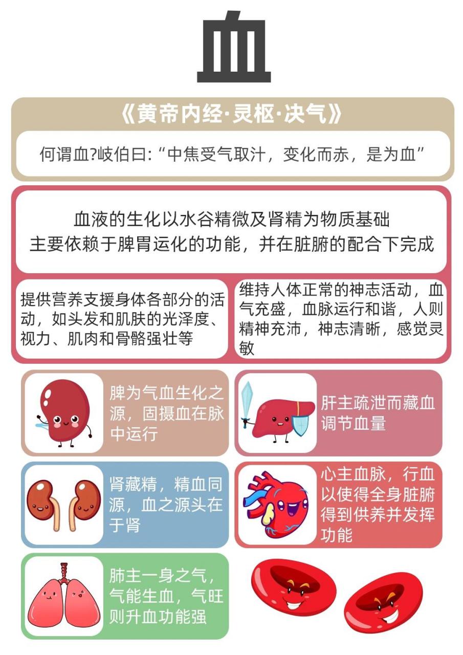 中医养生基础知识:精,气,血,津液的关系 16615精,又称精气.