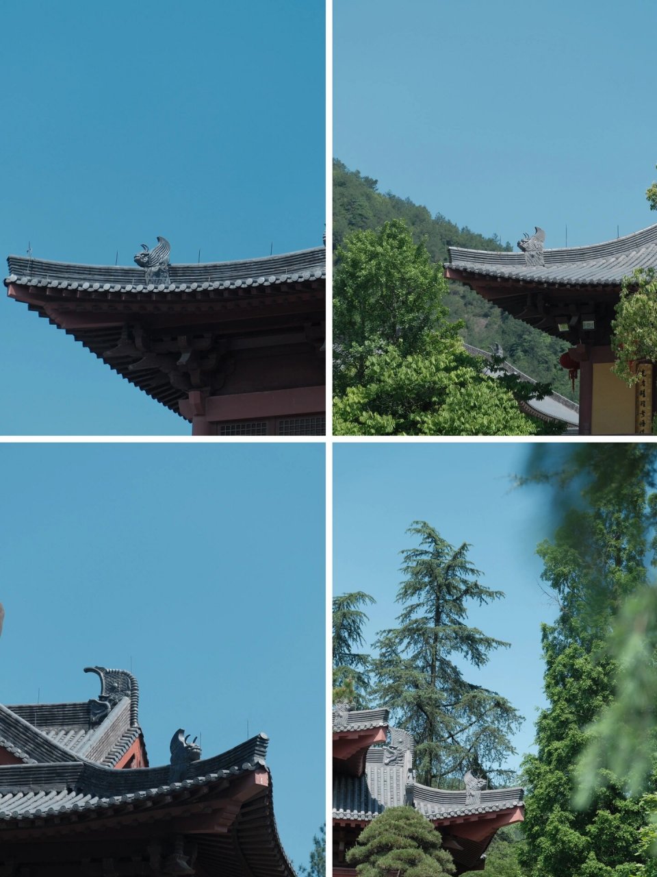 富士直出|金华北山脚下的千年古刹—智者寺 zhizhe temple 千年历史