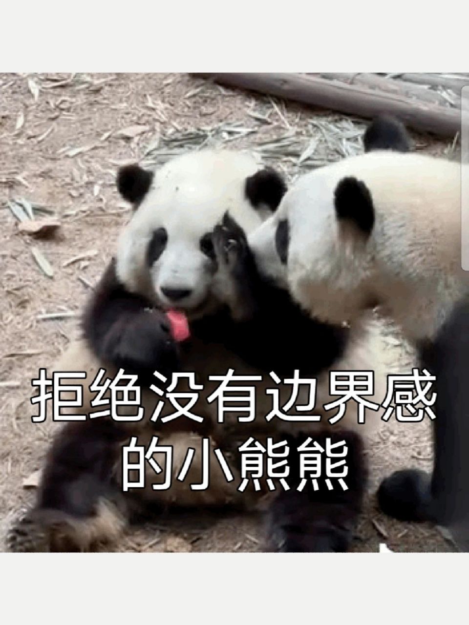 花花婉拒表情包 不会用拒绝朋友的姐妹看过来,让我们一起和花花勇敢说