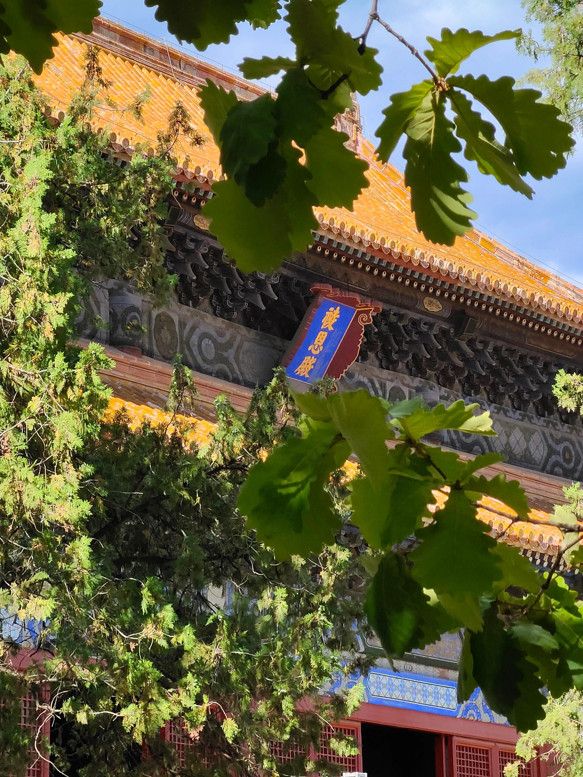 宣德巨构,大明气象——长陵祾恩殿61外观