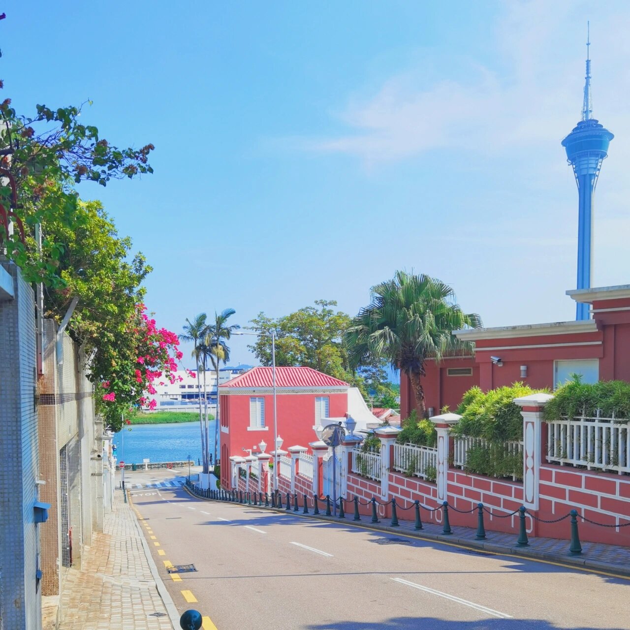 9890澳门半岛 | 主教山随手拍