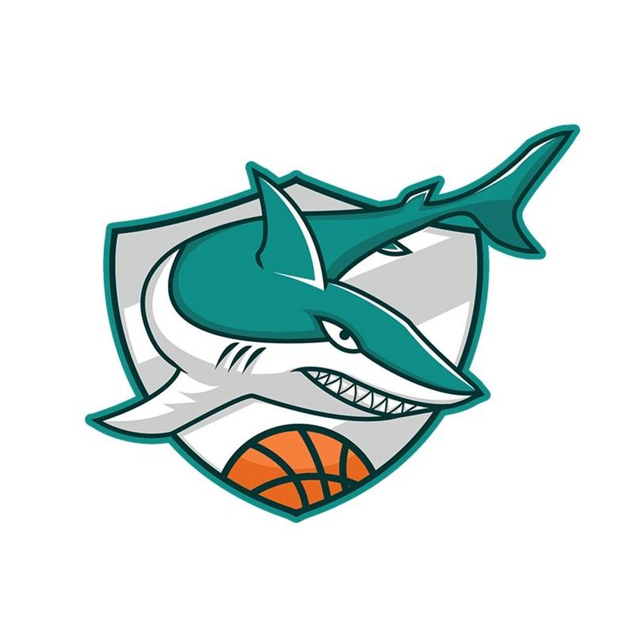 篮球队徽logo设计 适用于:篮球队,足球队,游戏战队,机车队