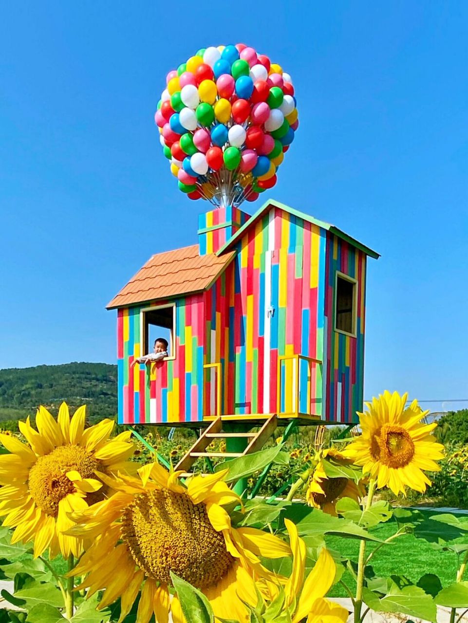 带毛毛来西山岛的开心农场啦～萌宠乐园,超大飞机,粉色沙滩,无边花海