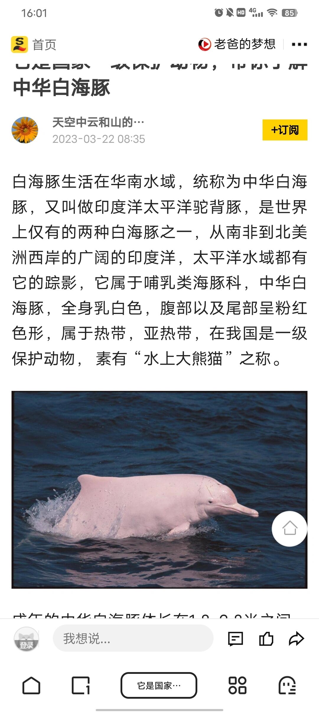 白海豚和白鳍豚的区别