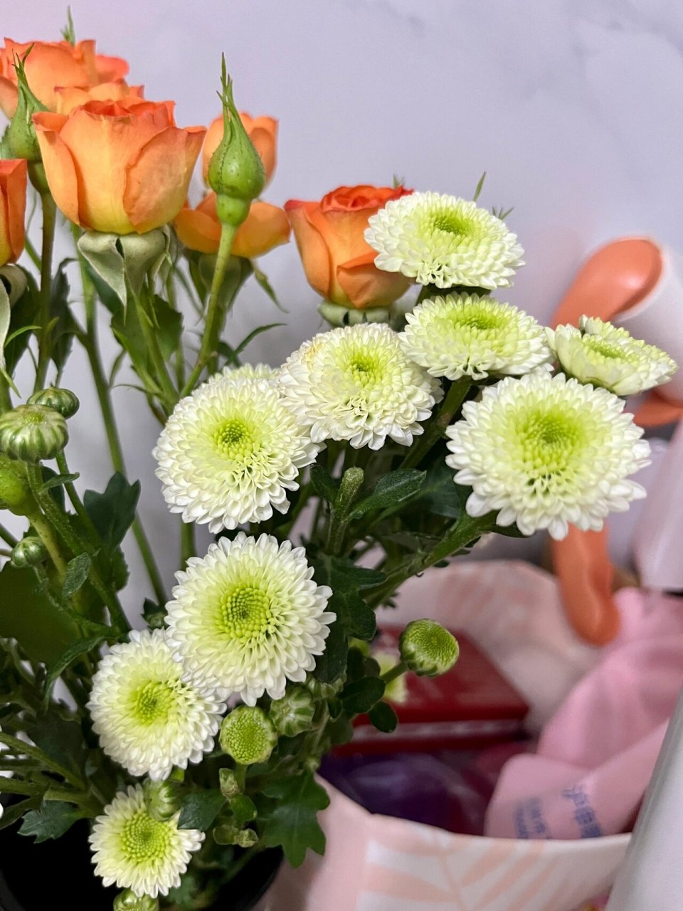 香水小菊的花语是永远快乐98 98079807超可爱嫩绿色小雏菊