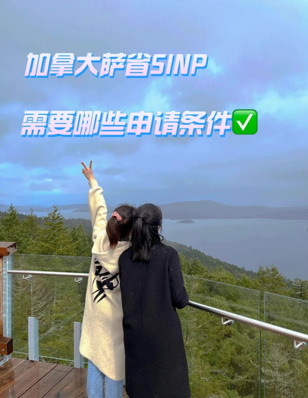 9896加拿大萨省sinp项目,普通人如何申请01 93加拿大萨省sinp