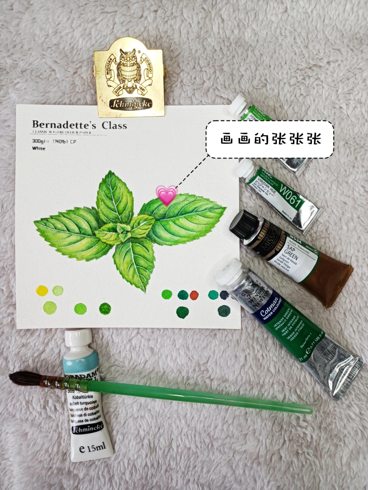 简单适合萌新的水彩薄荷叶画法