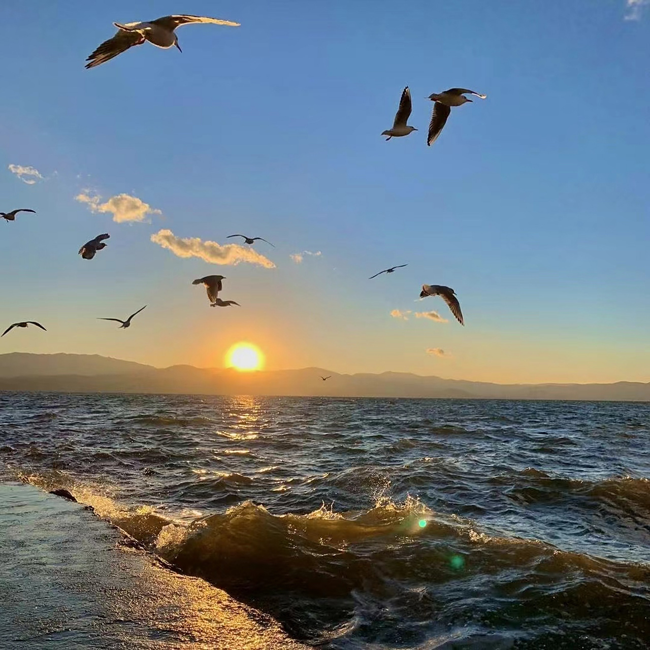 日出图片风景微信头像用什么好 日出代表着朝气蓬勃的一天的开始!