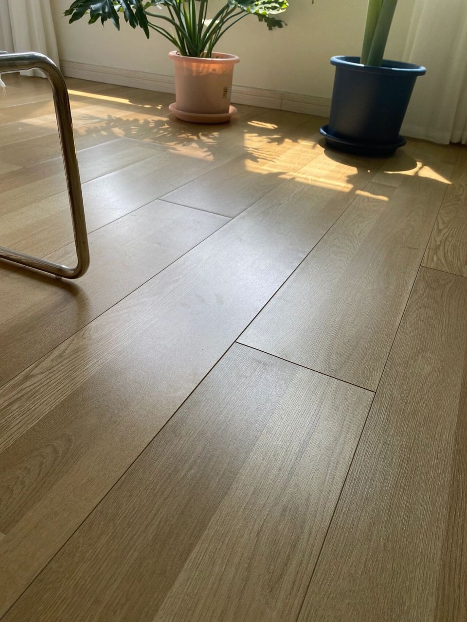 太神奇了,之前暴雨没关窗导致地板被泡鼓包 	 今天一看竟然恢复得