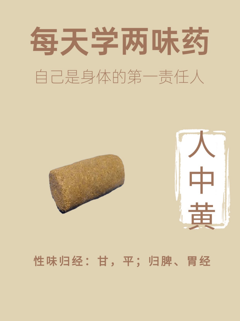 每天学两味药,人中黄 11566人中黄,中药名.