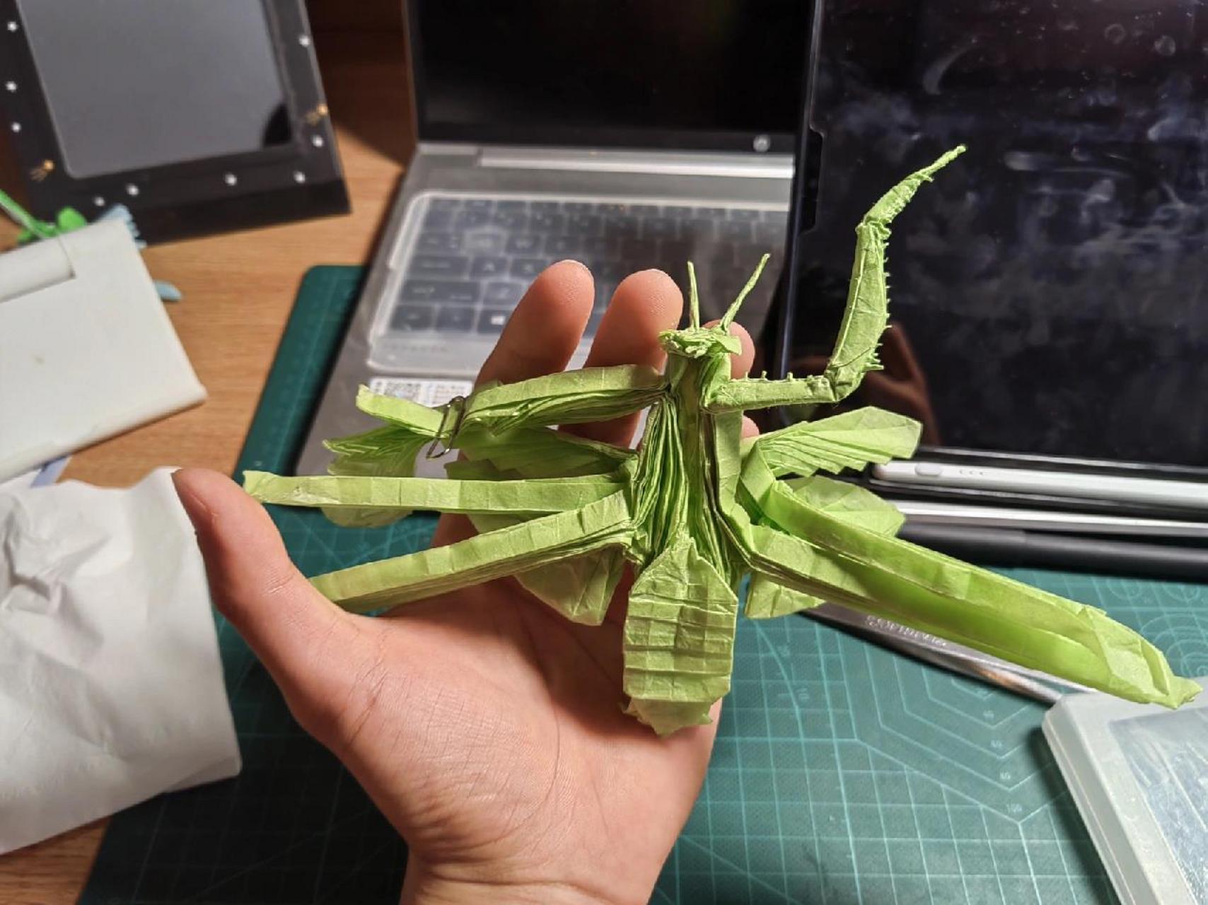 01我折出了世界上最复杂的折纸螳螂 设计:今井幸太 折拍:我 用纸