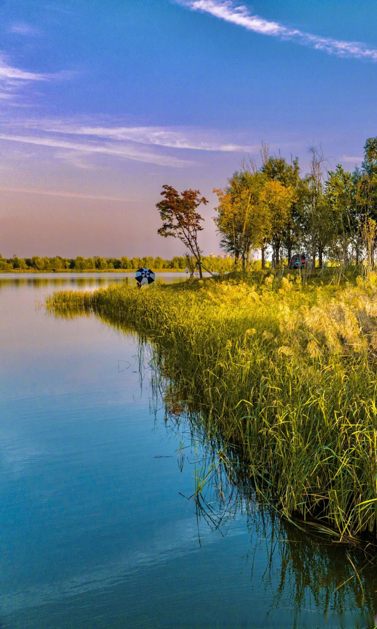 好漫长# 【中牟:秋色如诗 秋景如画】河南省郑州市中牟县雁鸣湖集森林