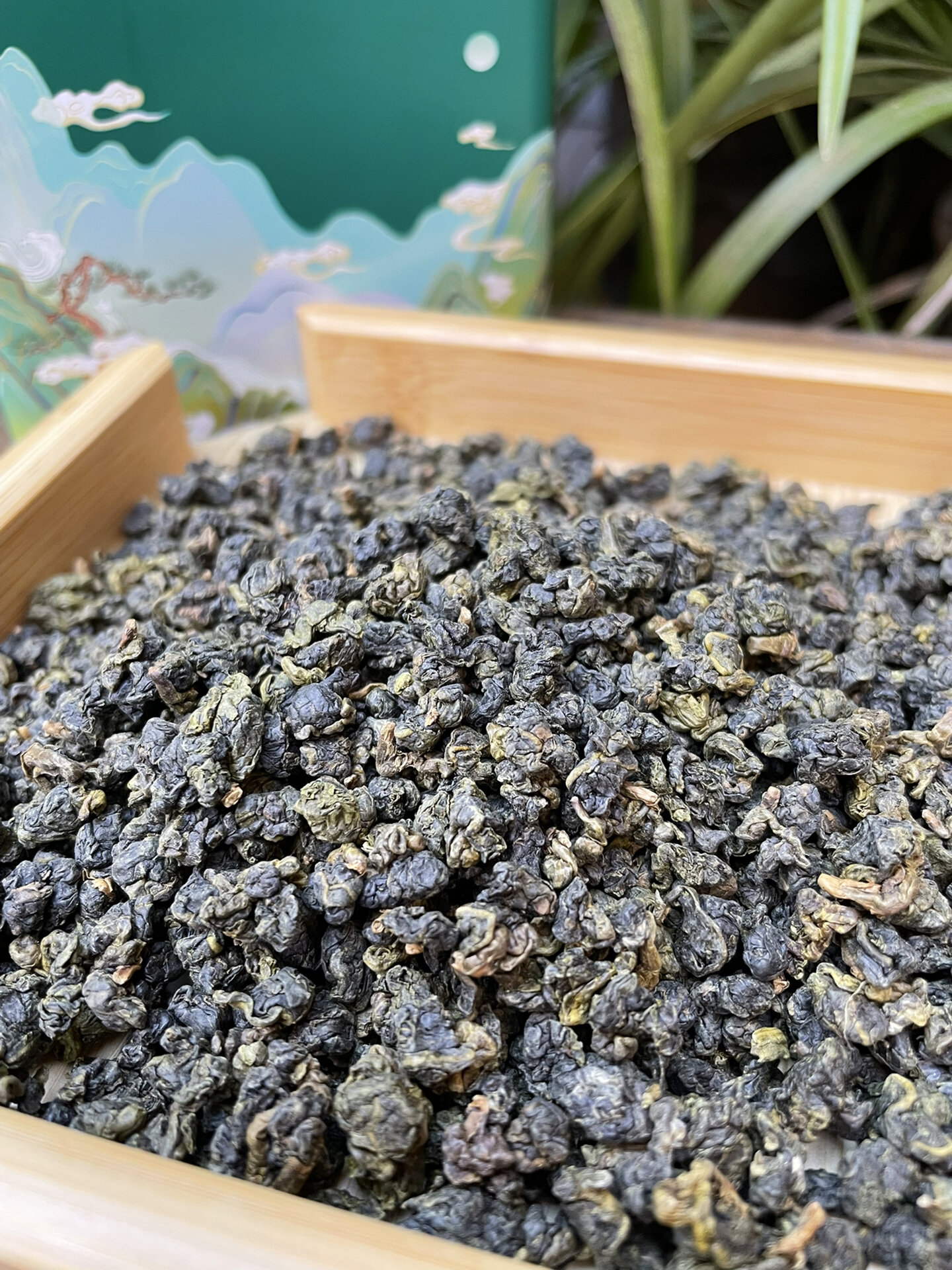 款极边乌龙茶,喝了再也不想喝其他了 96这款腾冲极边乌龙茶很有特点