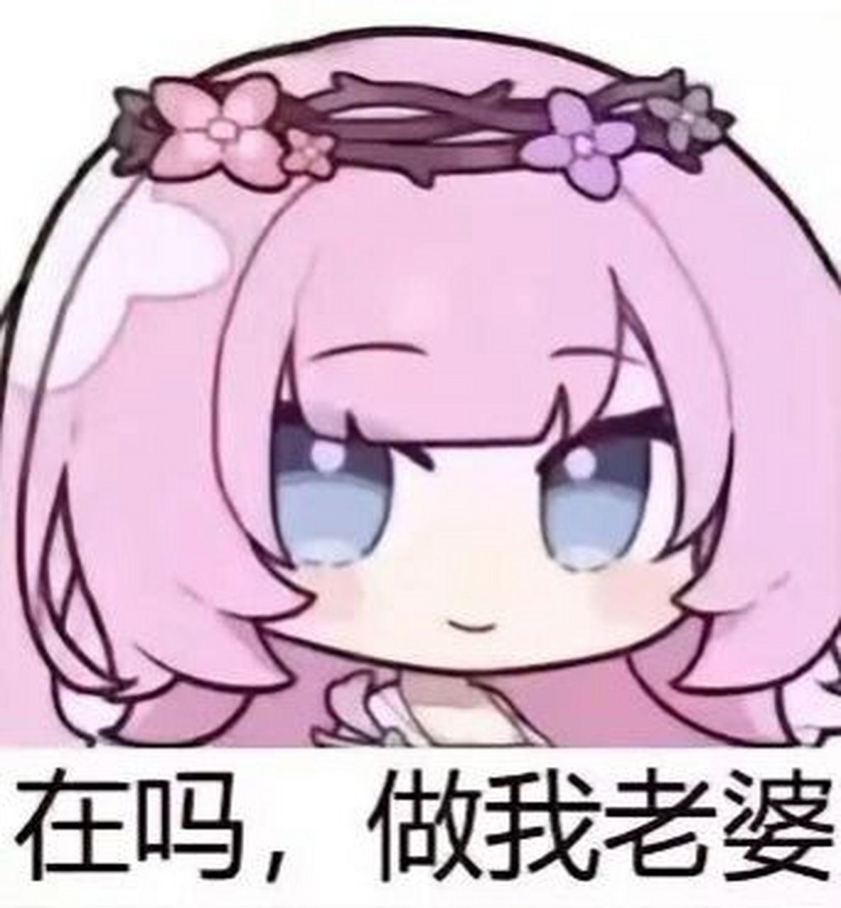 分享爱莉希雅表情包嘿嘿