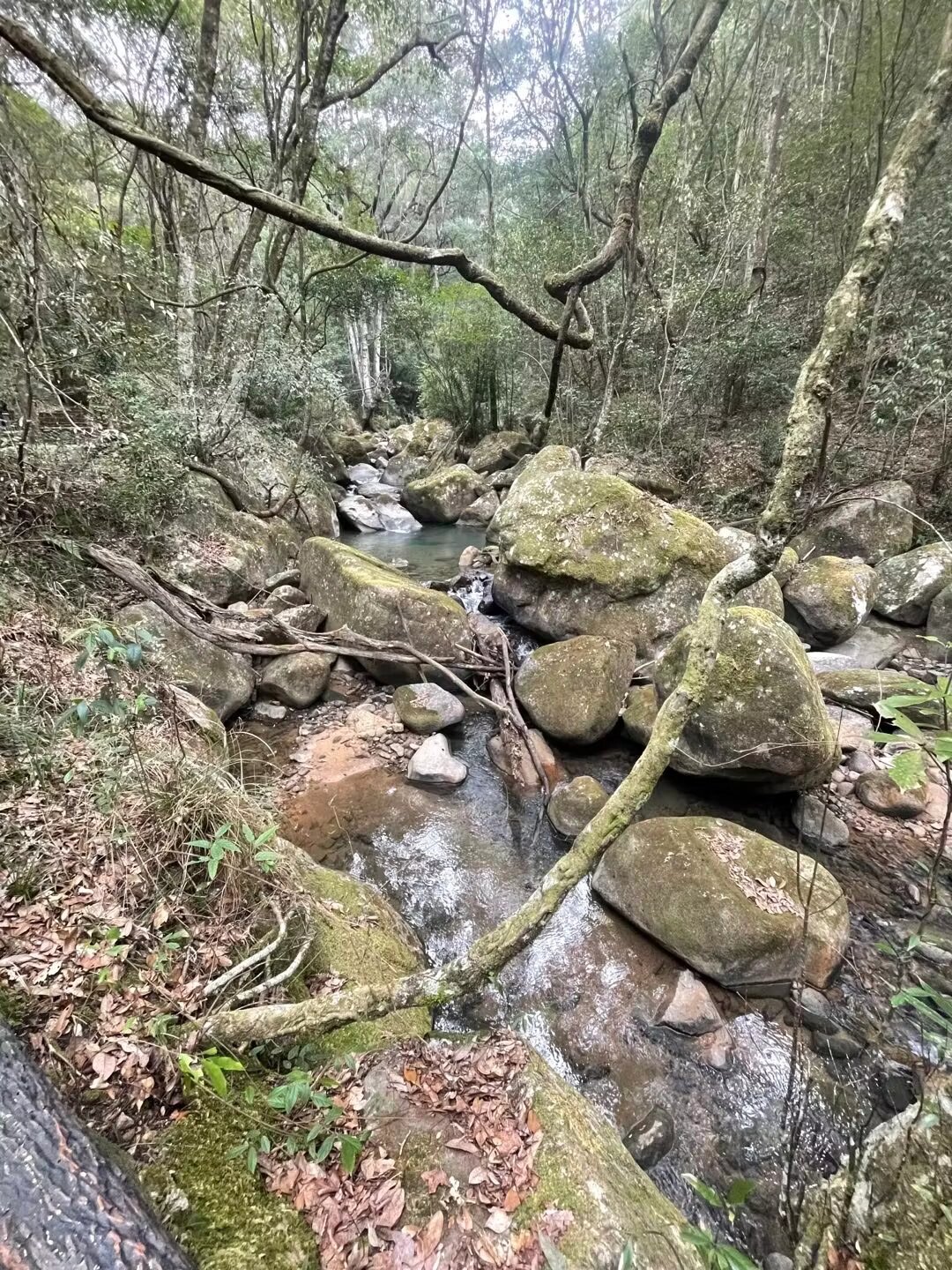 顺昌华阳山风景区图片图片