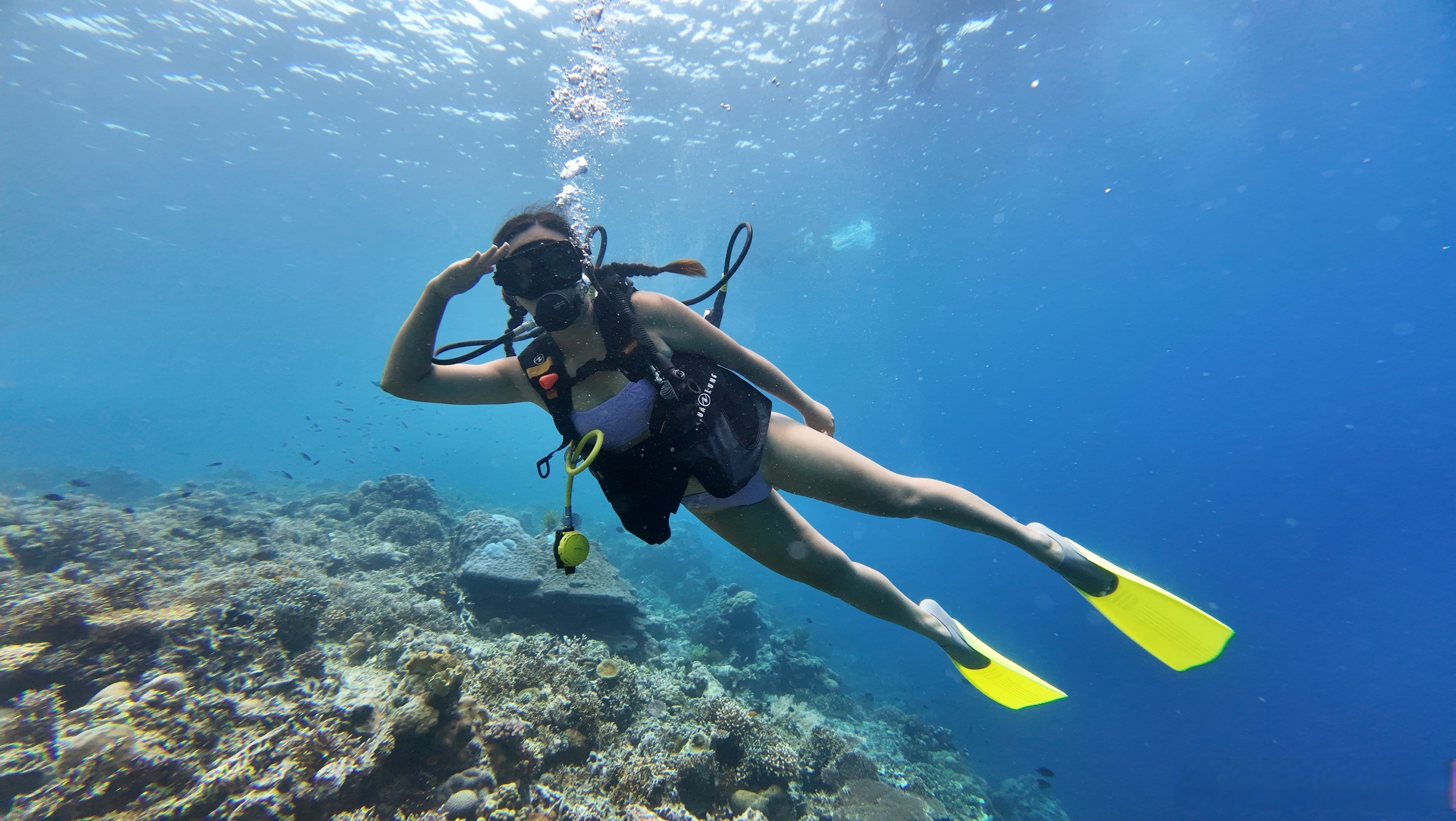 2019年拿了ow证之后 时隔6年终于又潜水啦!