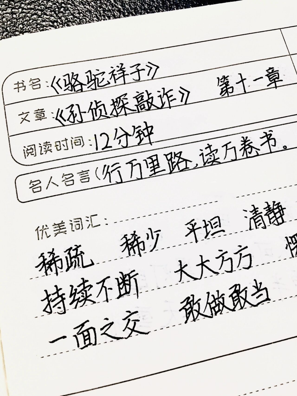 《駱駝祥子》讀書筆記 第十一章 孫偵探敲詐