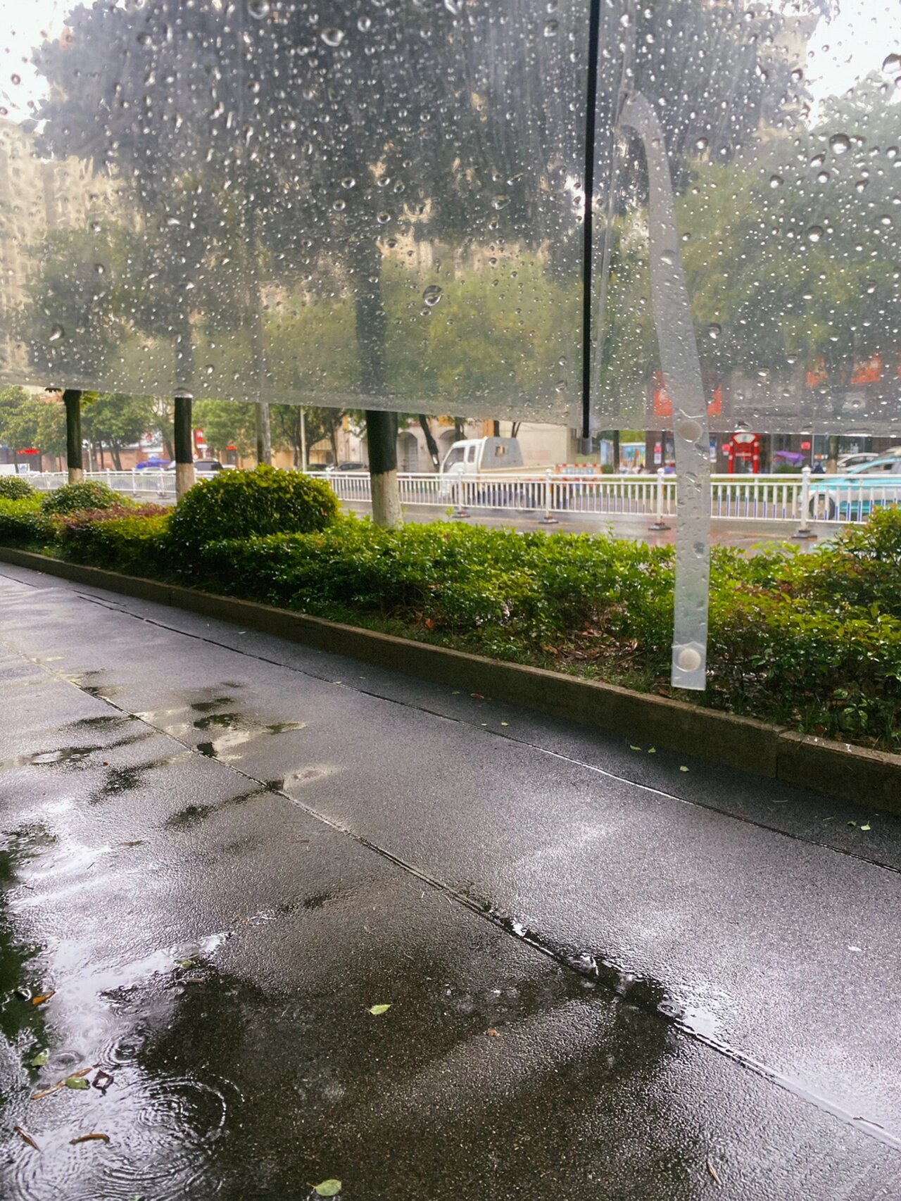 城市下雨照片真实图图片