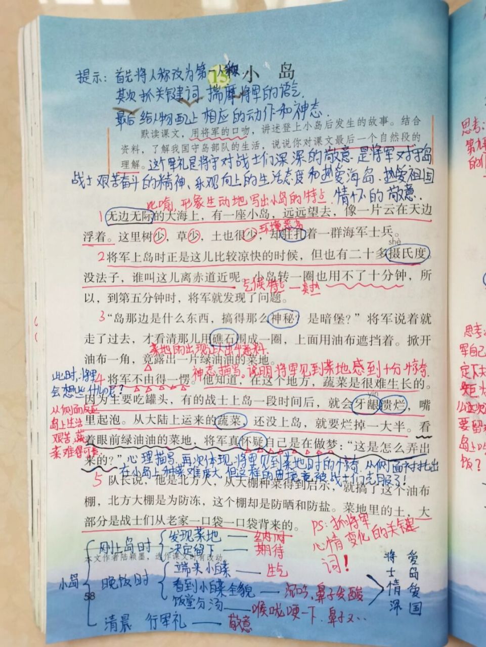 小学语文怎么学# #学习笔记# #小学语文备课# #语文笔记# #小岛