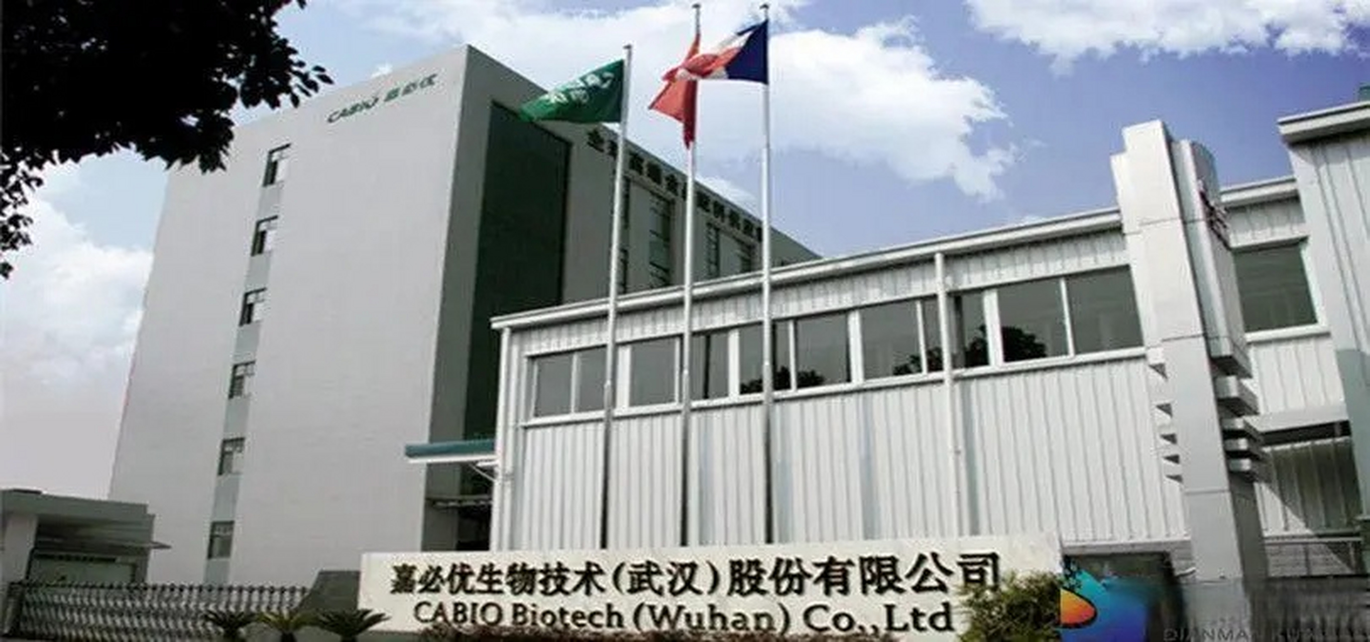 嘉必优12月28日公告,贝优有限计划通过集中竞价方式减持其持有的公司