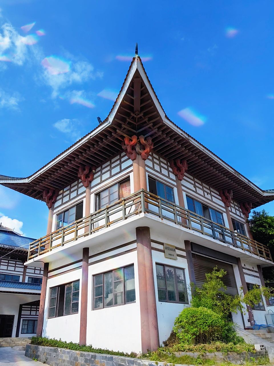 南宁小众游路线 带你领略异国风情 # 朱槿路位于南宁市区南部,东起青