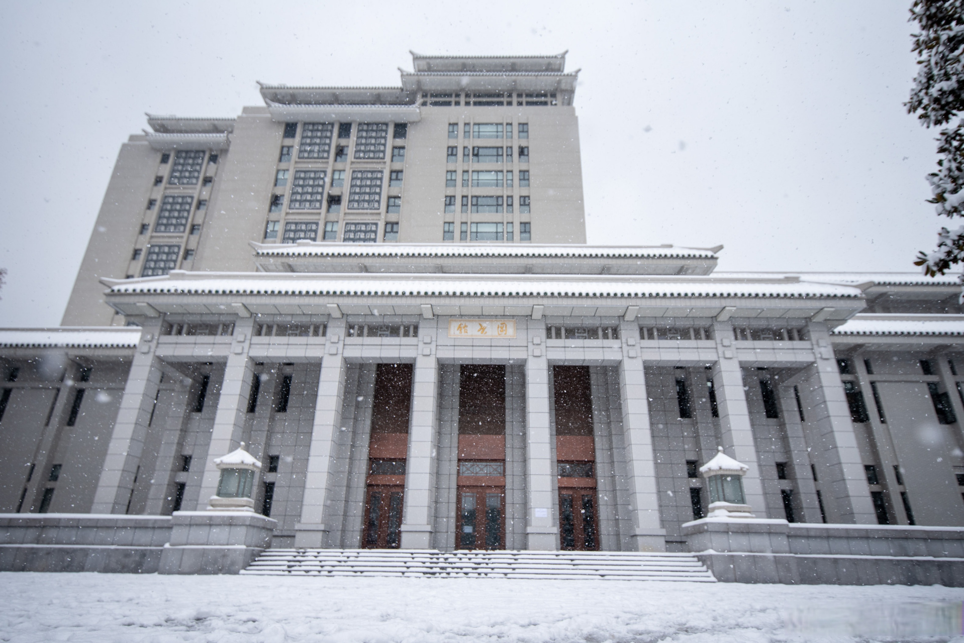 武汉大学130周年校庆# 东湖之滨,珞珈山上 巍巍学府,作育英才 深耕