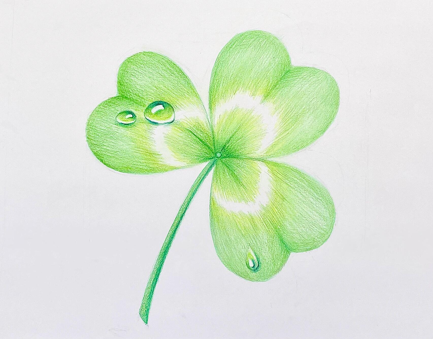 彩铅手绘 三叶草7815