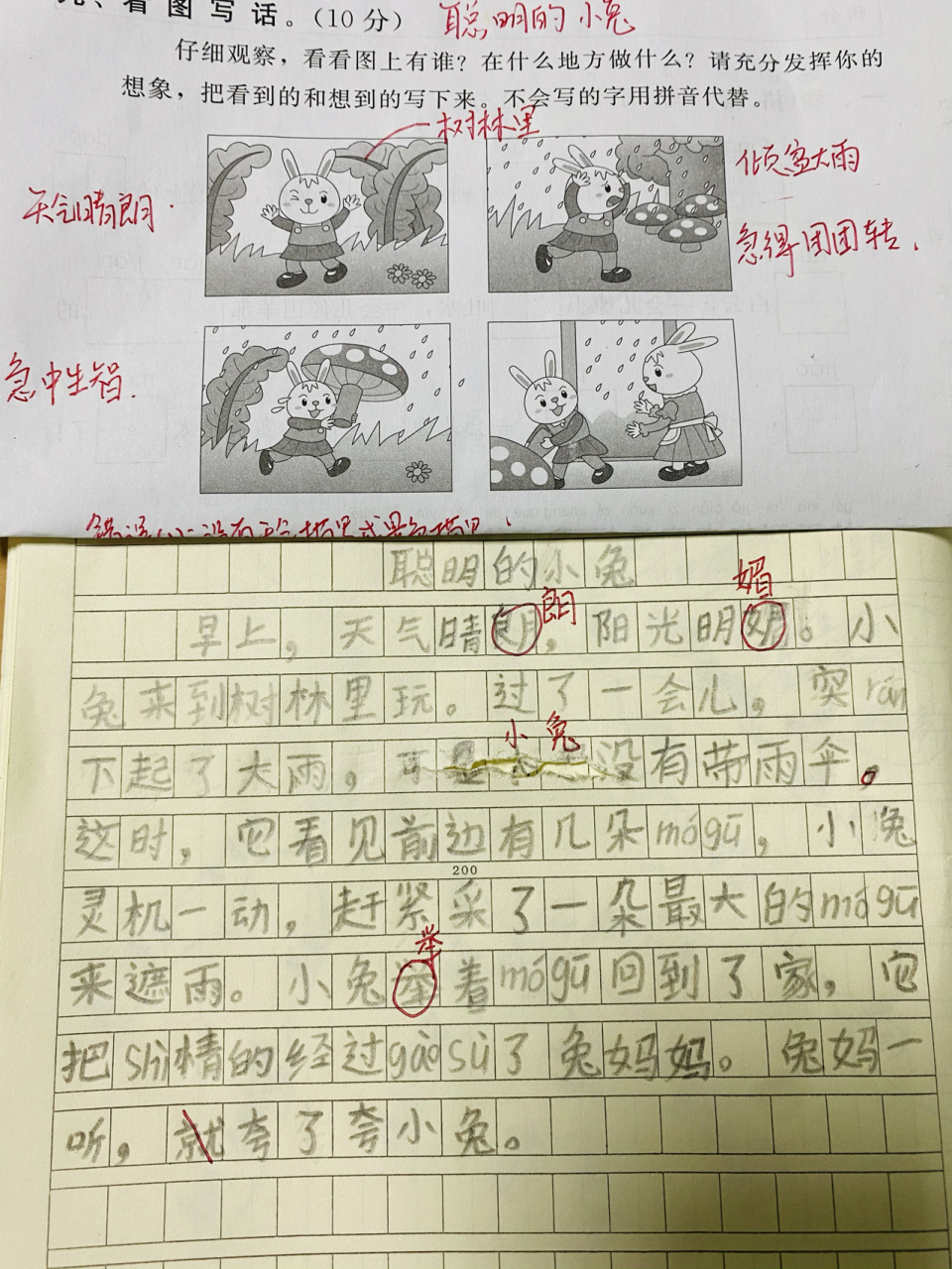 一年级看图写话——《聪明的小兔》