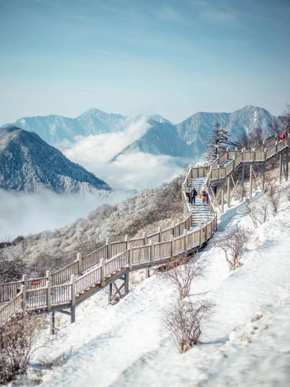 西岭雪山每天发团,一日游仅需90168/人 99西岭雪山:距离成都市区