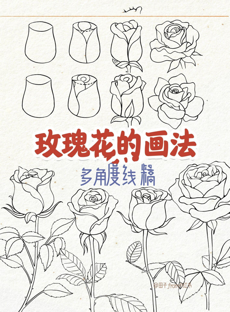 简单易学的玫瑰花画法图片