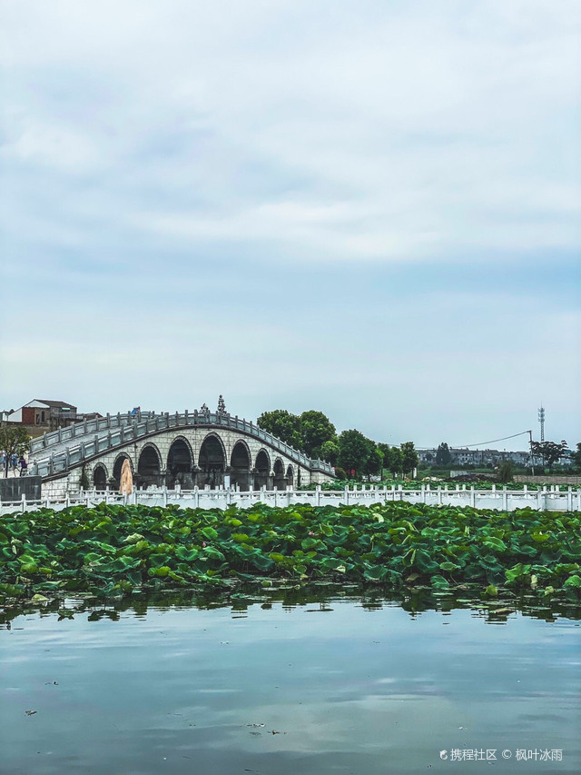 仙桃梦里水乡景区图片图片