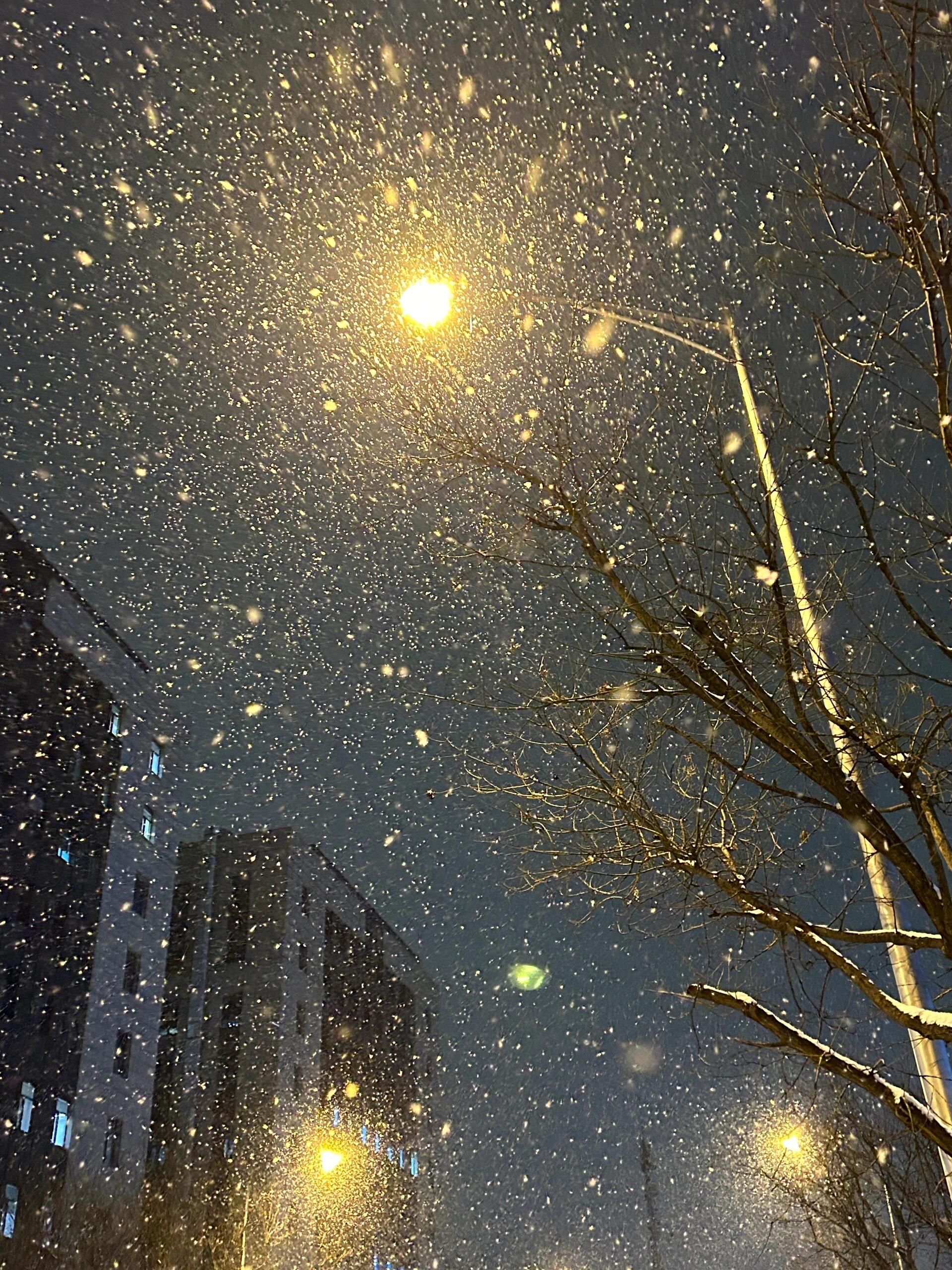 路灯下飘雪唯美图片图片