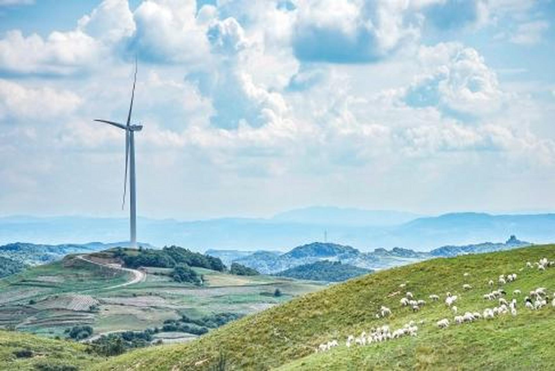 日前,贵州省威宁县雪山镇村民养的羊群在风力发电设备下的草场吃草.